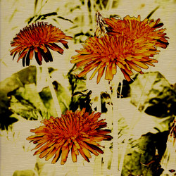 Similar image 7889190