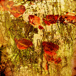 Similar image 7889201