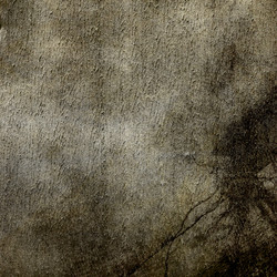 Similar image 7889227