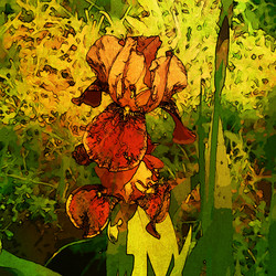 Similar image 7889237