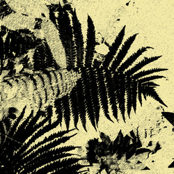 Similar image 7889244