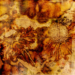 Similar image 7889248