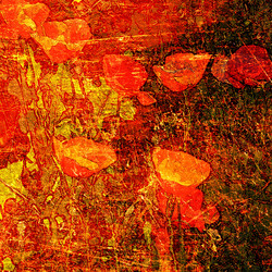 Similar image 7889253