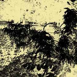 Similar image 7889256