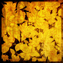 Similar image 7889315