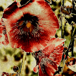 Similar image 7889329