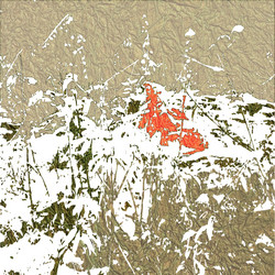 Similar image 7889342