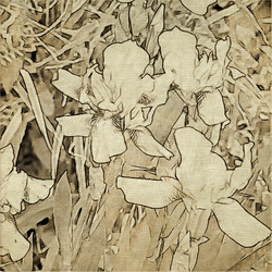 Similar image 7889394