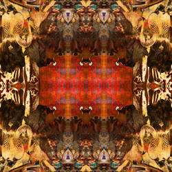 Similar image 7889507