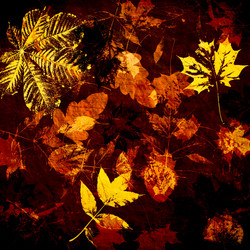 Similar image 7889651