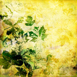 Similar image 7889668