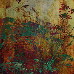 Similar image 7889670