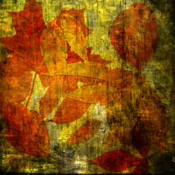 Similar image 7889675