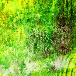 Similar image 7889681