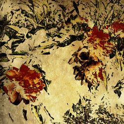 Similar image 7889683