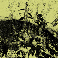 Similar image 7889863