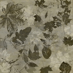 Similar image 7889883