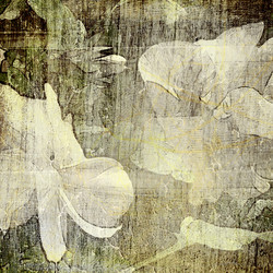 Similar image 7889923