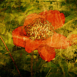 Similar image 7889950