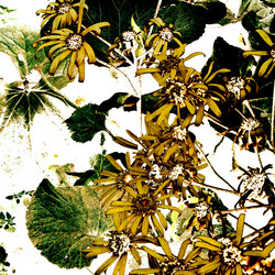 Similar image 7889956