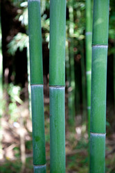 Similar image 7889963