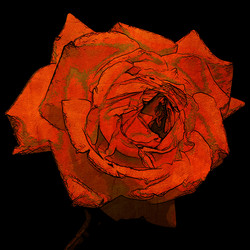 Similar image 7889998