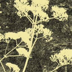 Similar image 7890078