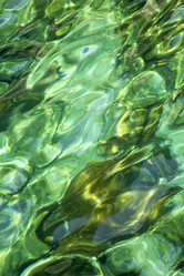 Similar image 7890524