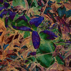 Similar image 7890529