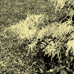 Similar image 7890579