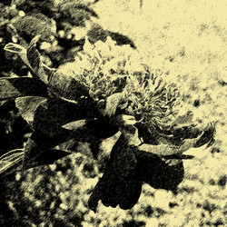 Similar image 7890583