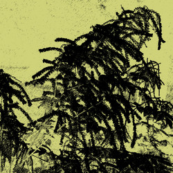 Similar image 7890668