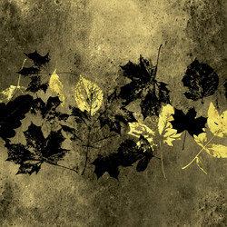 Similar image 7890763