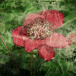 Similar image 7890816