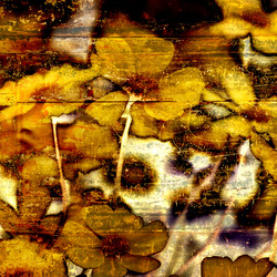 Similar image 7890877