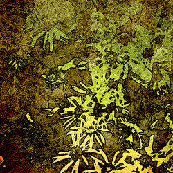 Similar image 7890880