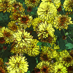 Similar image 7890911