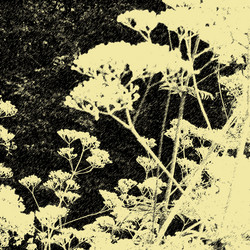 Similar image 7890924