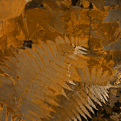 Similar image 7890953