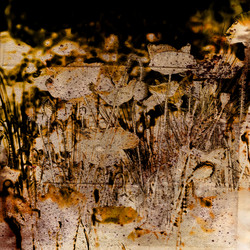 Similar image 7890973