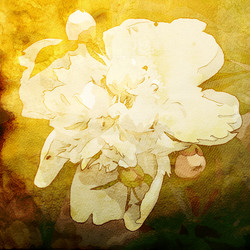 Similar image 7890993