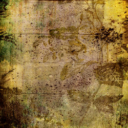 Similar image 7890997