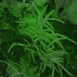 Similar image 7891056