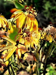 Similar image 7891072