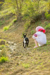 Similar image 7891135