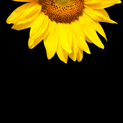 Similar image 7891149