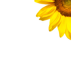 Similar image 7891150