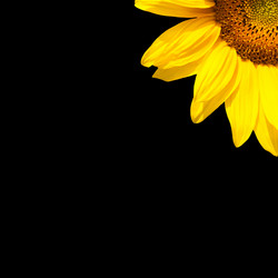 Similar image 7891151