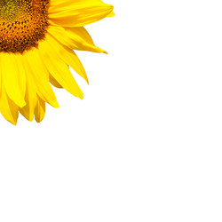 Similar image 7891152