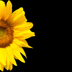 Similar image 7891153